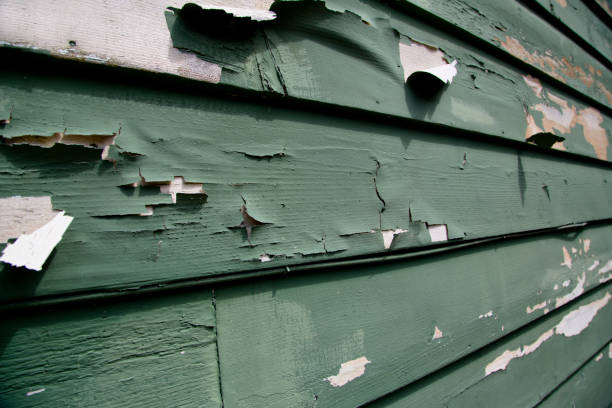 Best Siding Removal and Disposal  in Brookville, OH